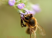 手机号码轰炸机免费版