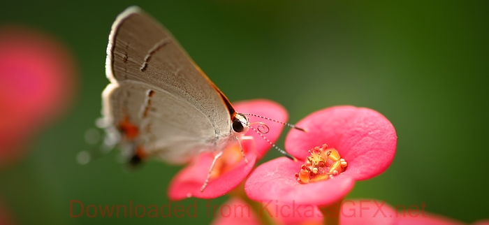 手机号炸弹防护业务